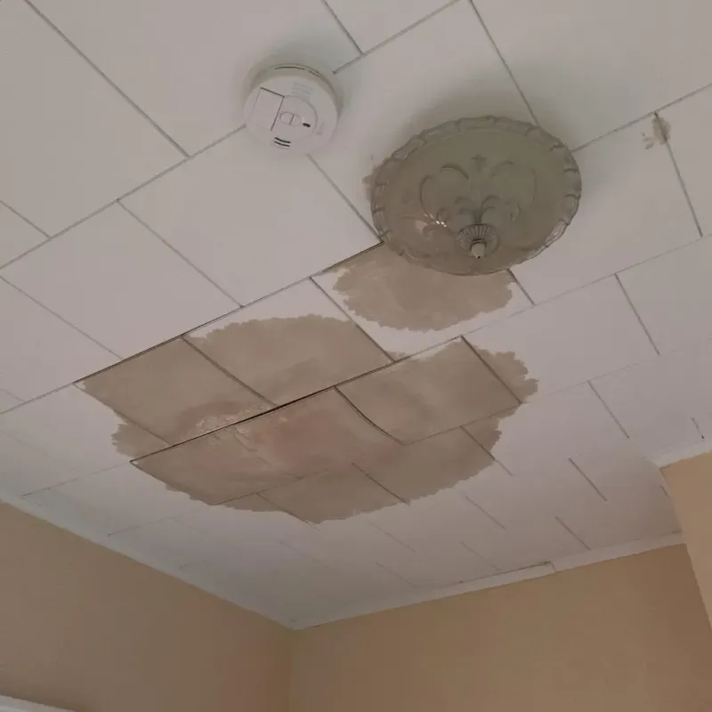 Ceiling Water Damage Repair in McCook County, SD